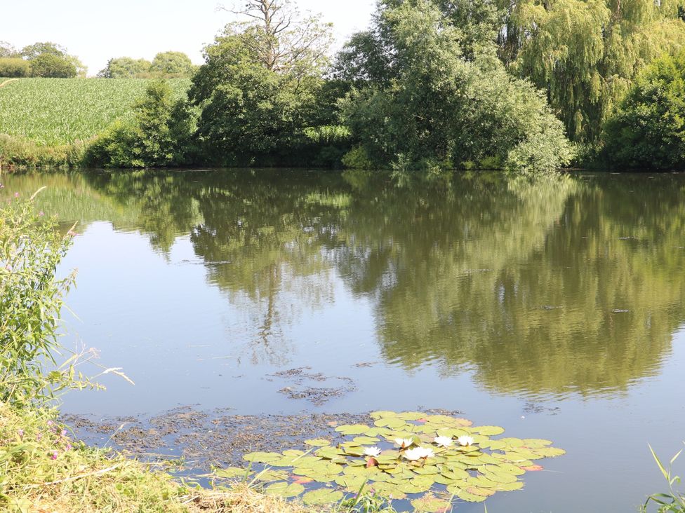 A pond with lily pads and trees at Holmside Audley Brow near Market Drayton