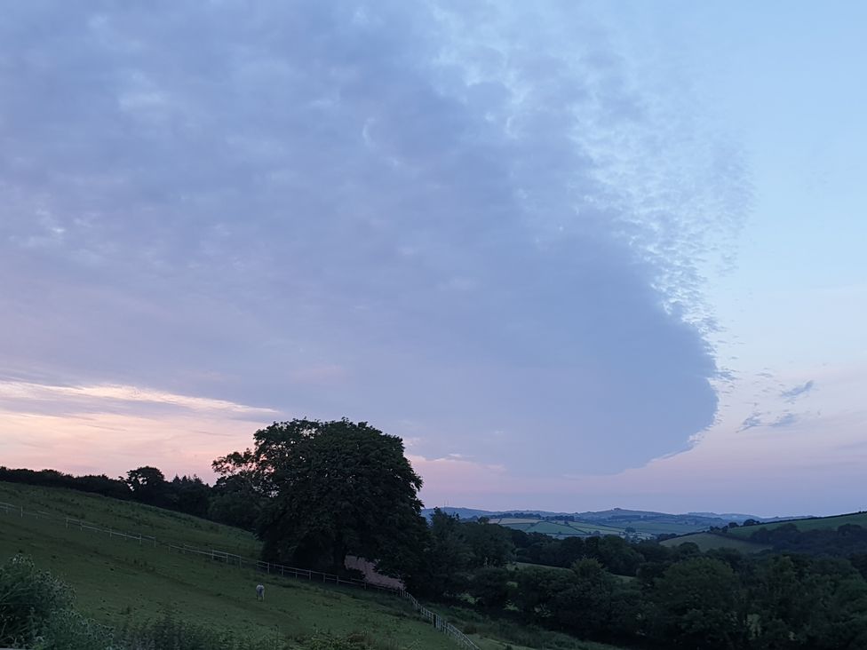 South Holm - Devon - 1148430 - thumbnail photo 53