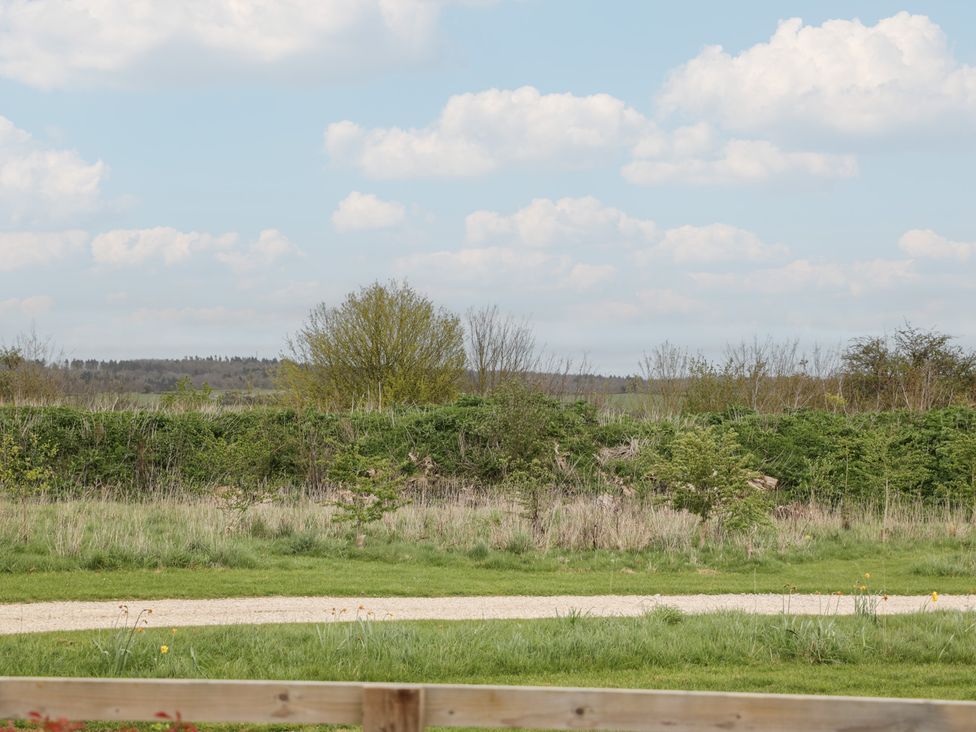 A view of trees and bushes with a pathway at The Little Loft in Burford