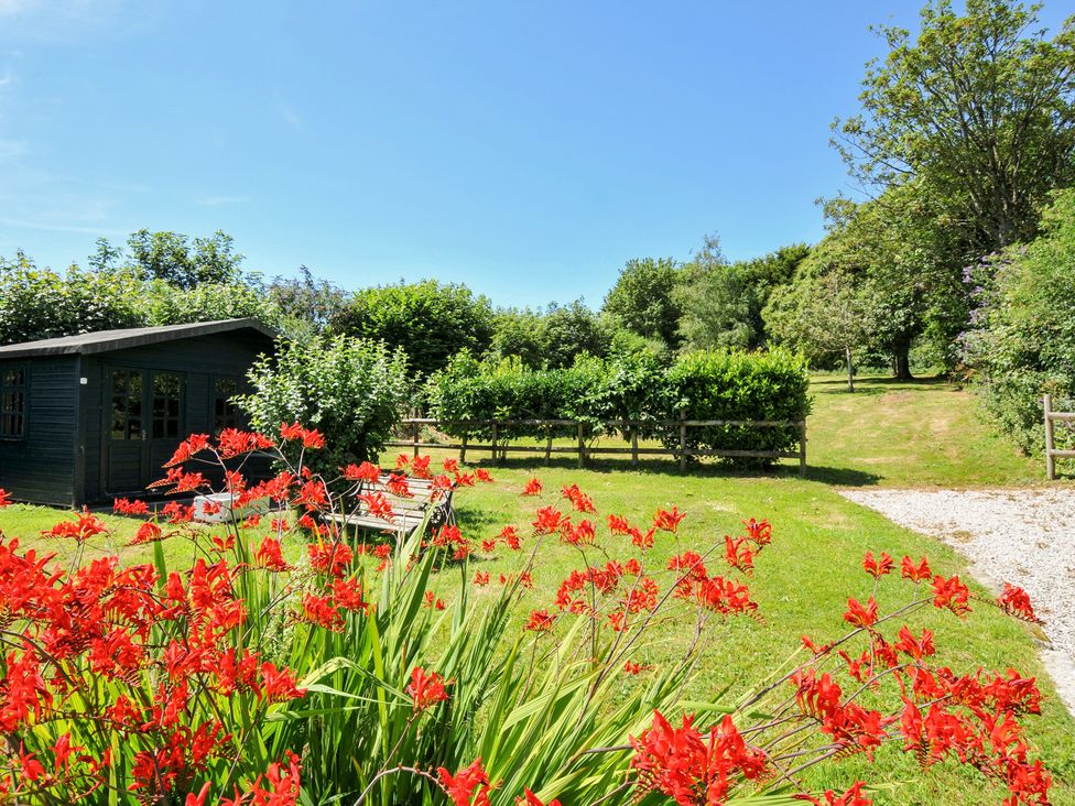 A garden with a shed and red flowers at Jolly Crabber in Porthpean near St Austell