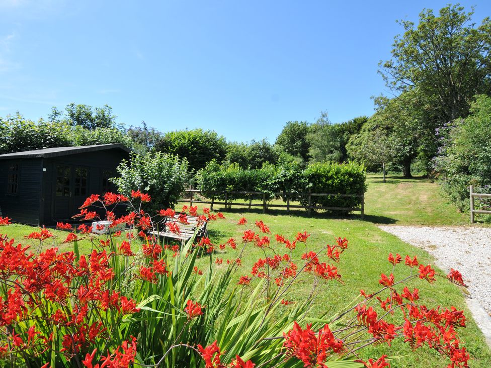 A garden with flowers and a wooden shed at Smugglers in Porthpean near St Austell