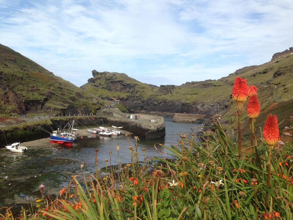 Brambles - Cornwall - 1148849 - thumbnail photo 39