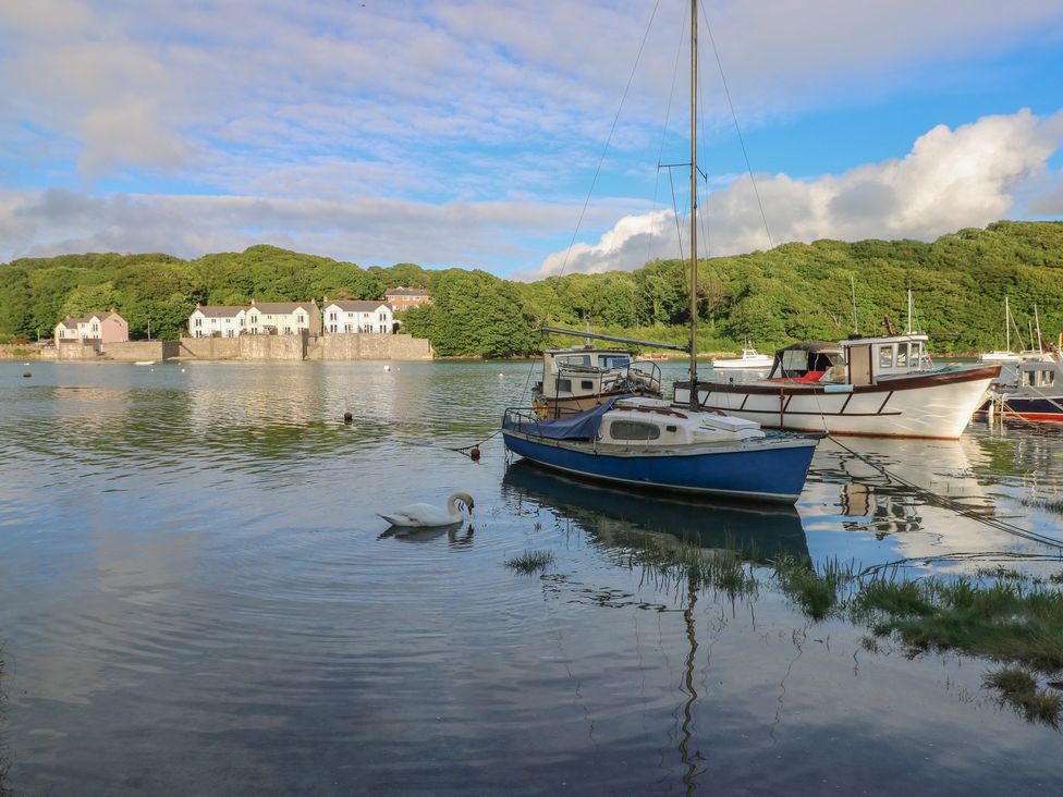 Egret - South Wales - 1148968 - thumbnail photo 36