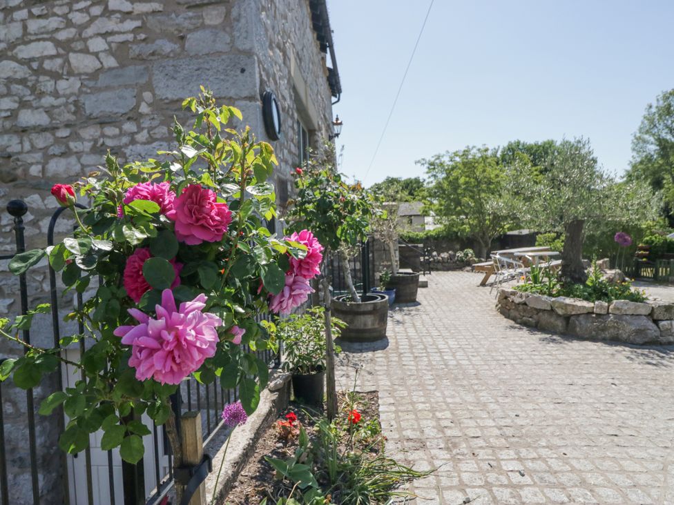 A garden with flowers and stone path at Old Watermill in Cartmel