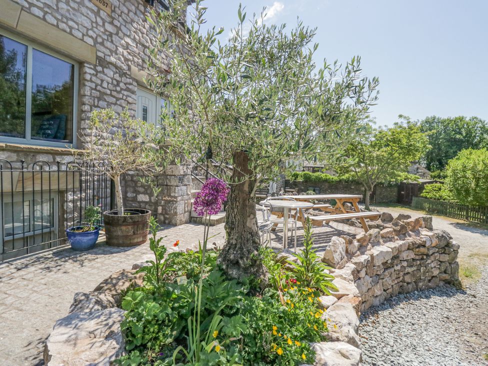A garden with an olive tree and a stone wall at The Old Watermill in Cartmel