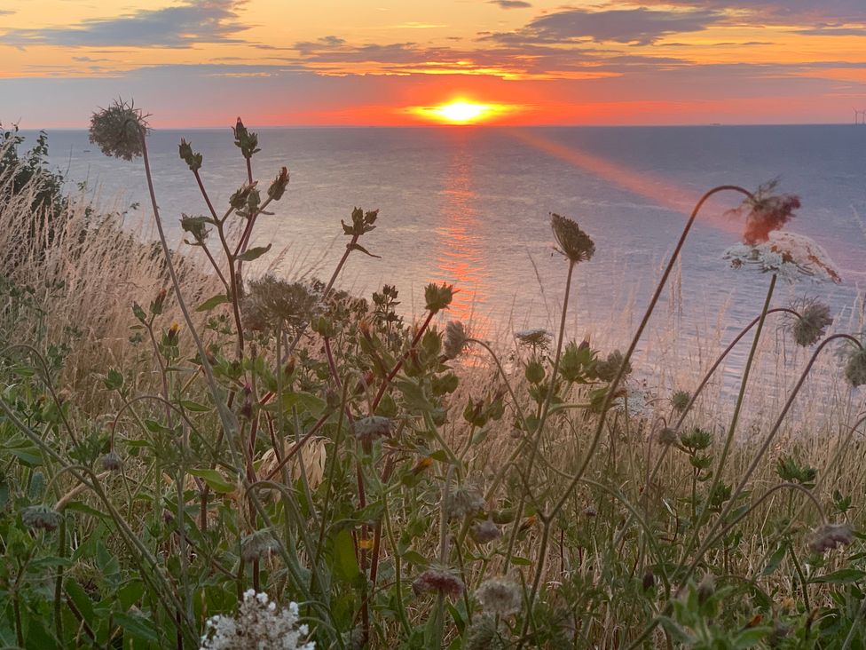 The Artists Cabin By The Sea - Kent & Sussex - 1149042 - thumbnail photo 16