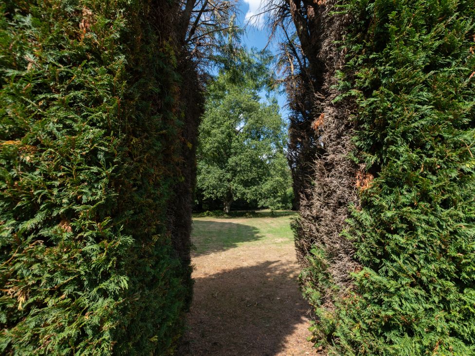 A pathway between hedges in a garden at Gildridge Whitesmith near East Hoathly