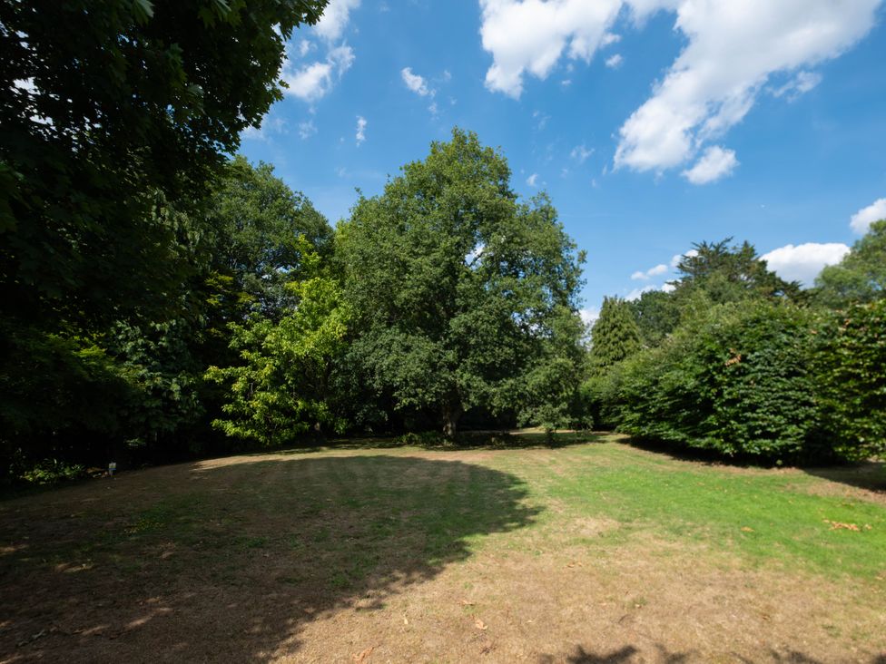 A garden with trees and grass at Gildridge in Whitesmith near East Hoathly