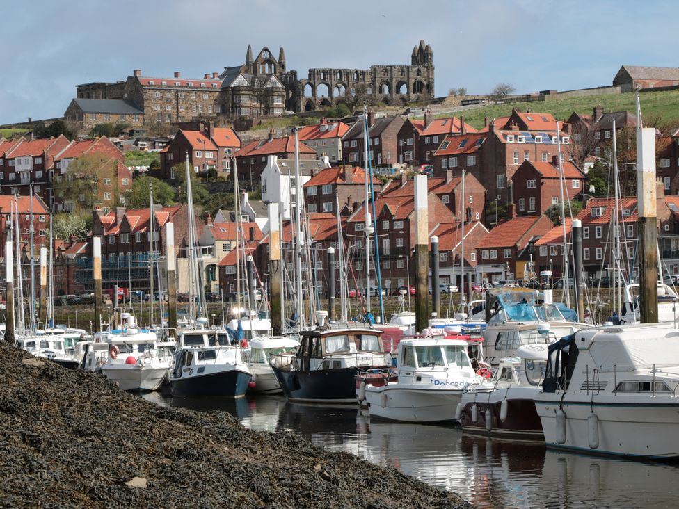 Waddleduck - North Yorkshire (incl. Whitby) - 11492 - thumbnail photo 18