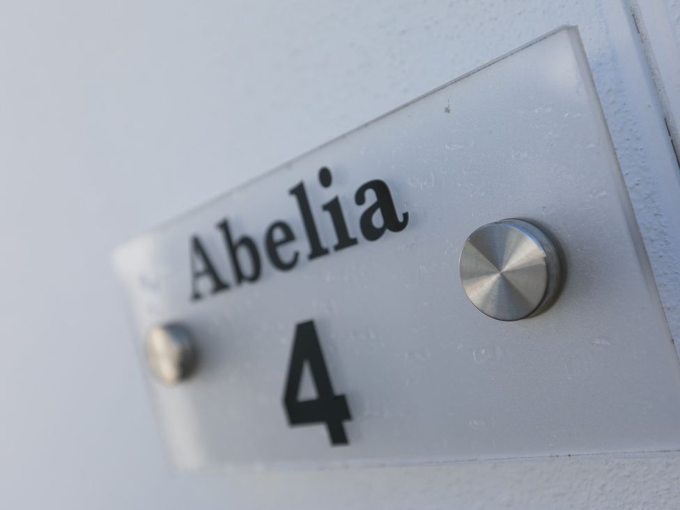 Abelia - Cornwall - 1149491 - thumbnail photo 3