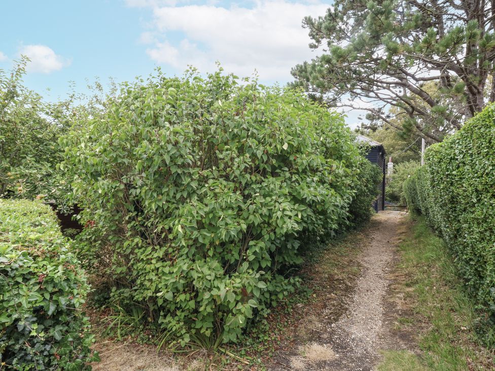 A pathway surrounded by bushes and trees at Chenies, Osmington Mills, near Preston