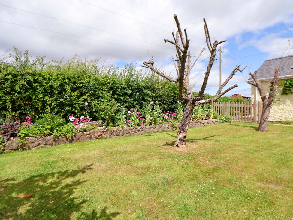 A garden with a flower bed and a tree at The Brambles in Holt, North Wales