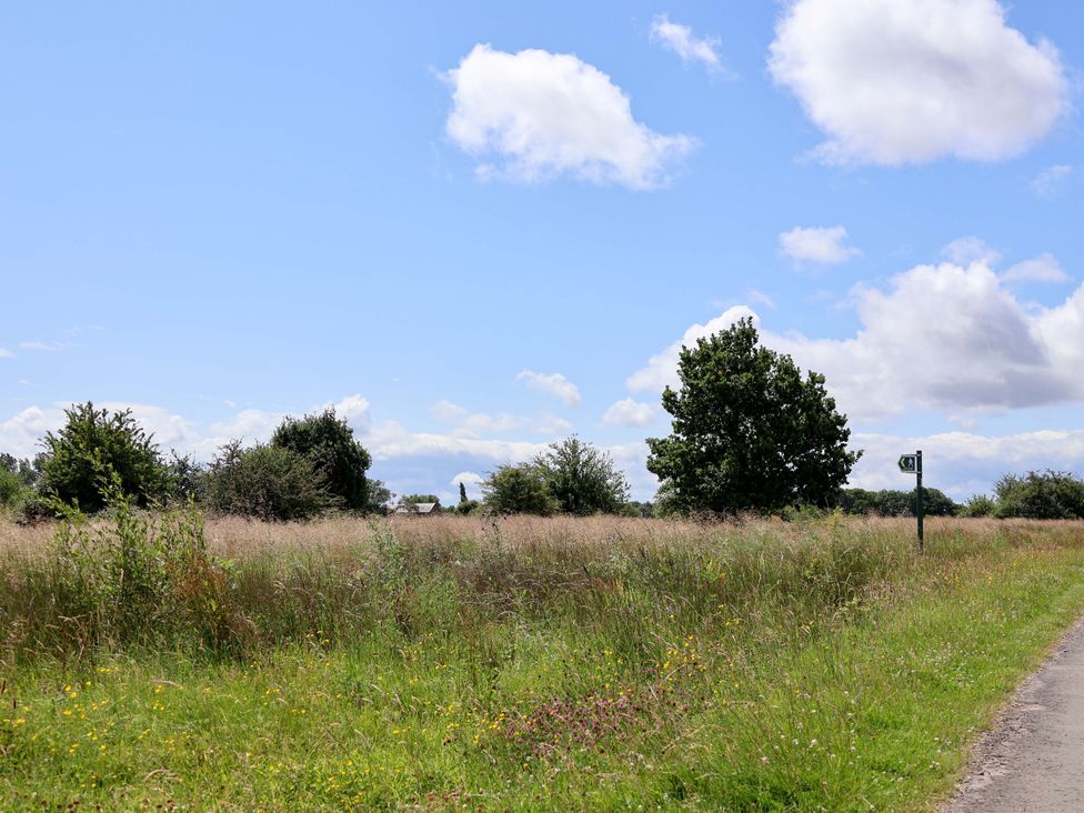 A field with trees and a road at The Brambles in Holt, North Wales