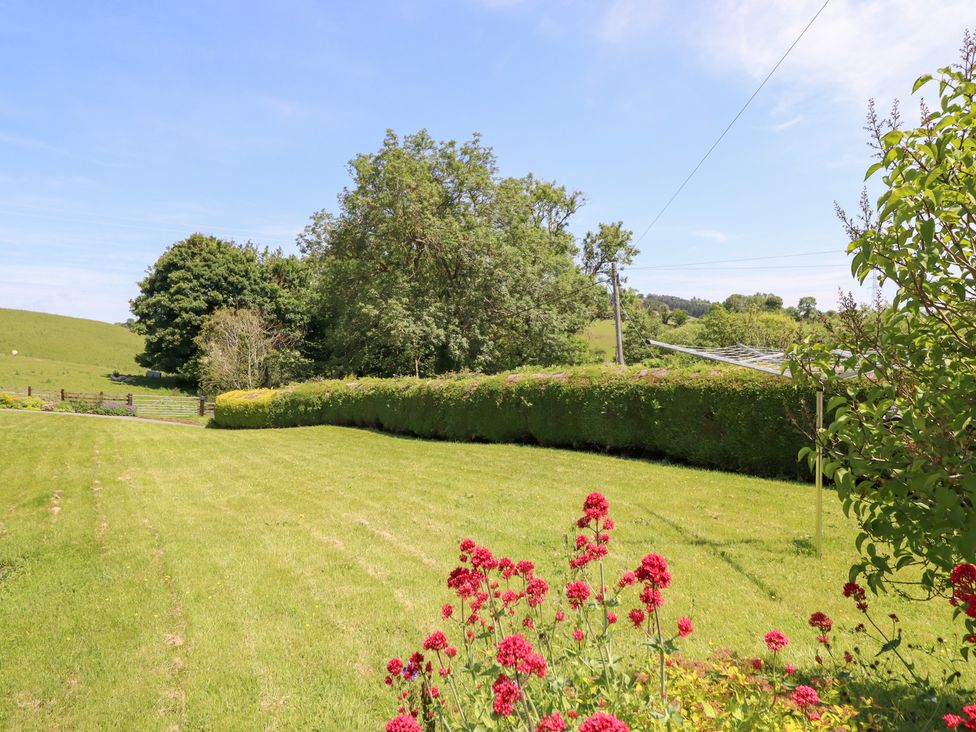 A garden with grass and flowers at Bryn Bras in Corwen