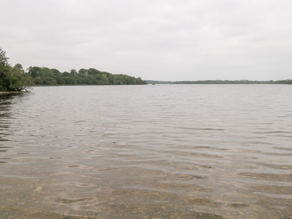 A lake with trees on the bank at Swan Lake in Cloonshaghan near Boyle, County Roscommon