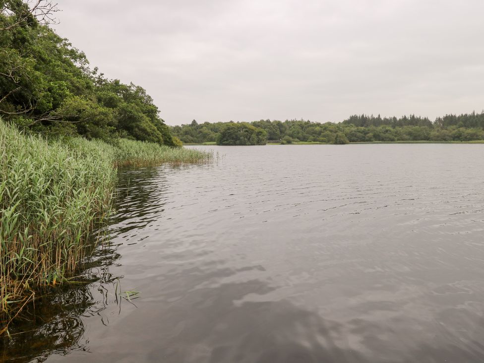 A lake with reeds and trees at Swan Lake Cloonshaghan near Boyle County Roscommon