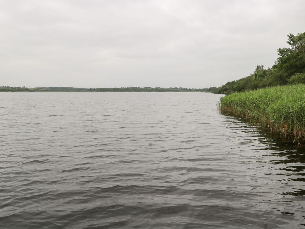 A view of a lake with grass and reeds at Swan Lake in Cloonshaghan near Boyle, County Roscommon