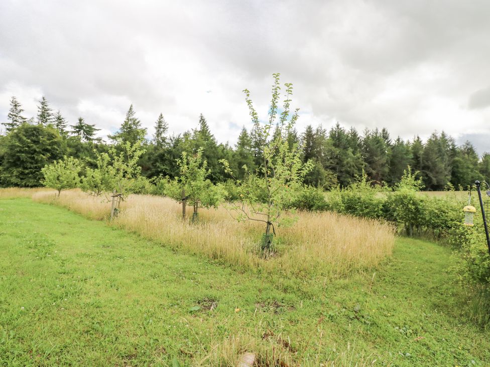 A field with trees and grass at The Barn in Copley