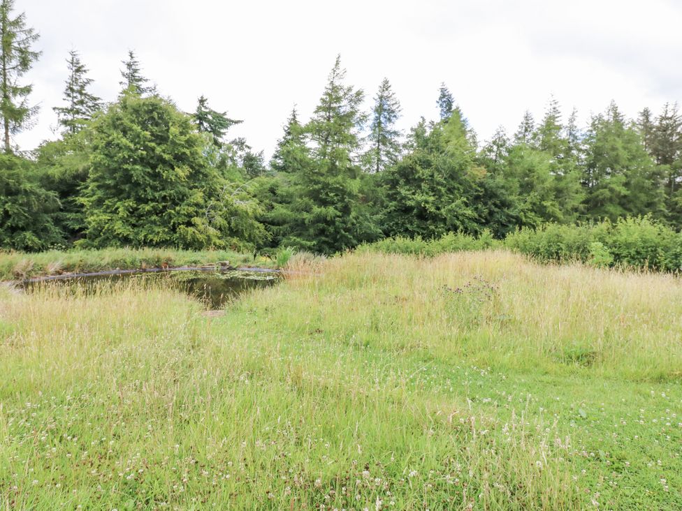 An outdoor area with grass and trees surrounding a pond at The Barn in Copley