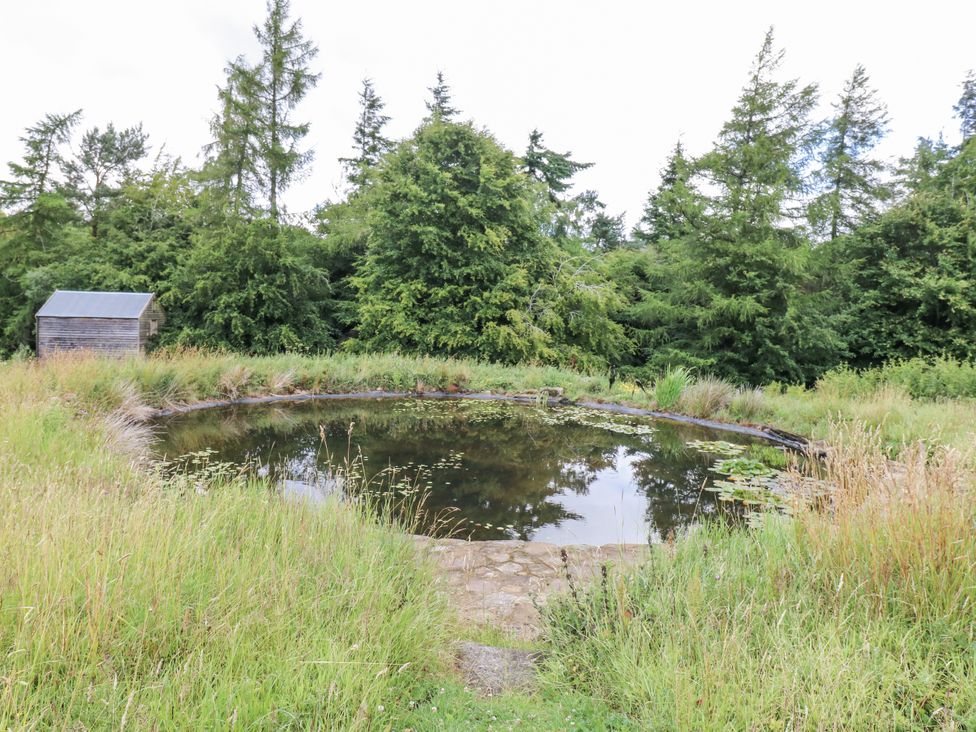 A pond surrounded by grass and trees with a shed nearby at The Barn in Copley