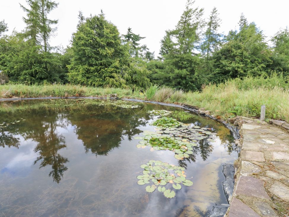 A pond with water lilies surrounded by trees and grass at The Barn in Copley