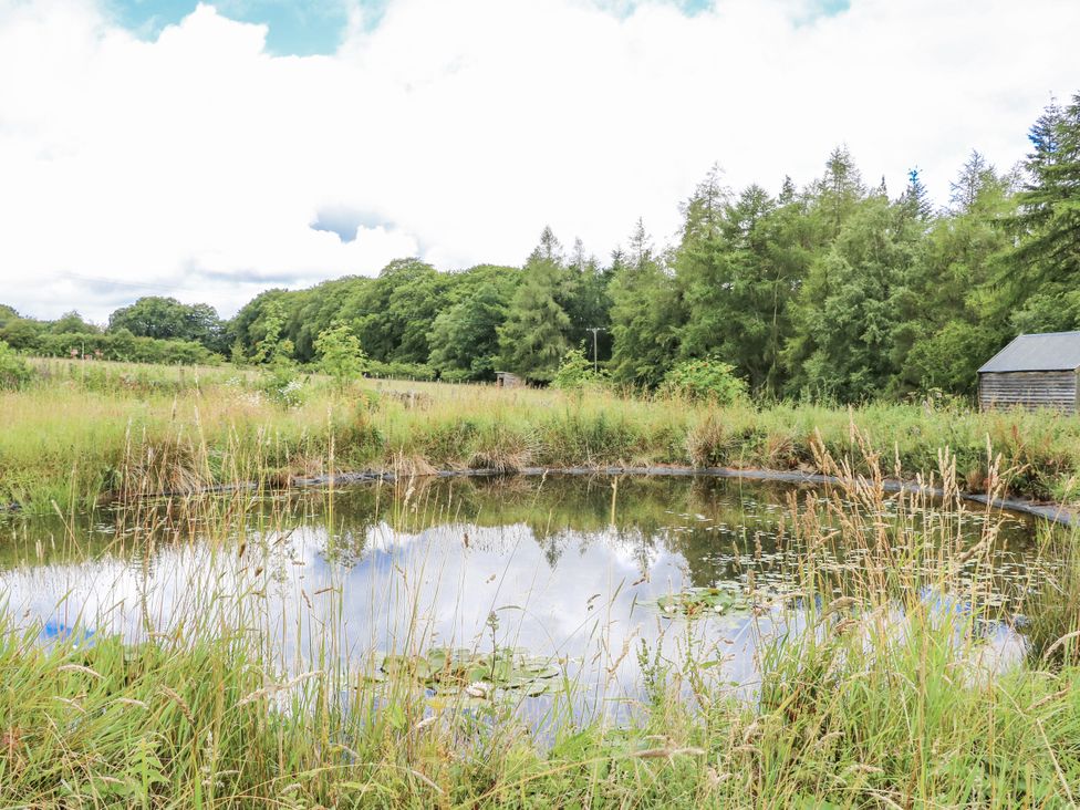A pond surrounded by grass and trees at The Barn in Copley