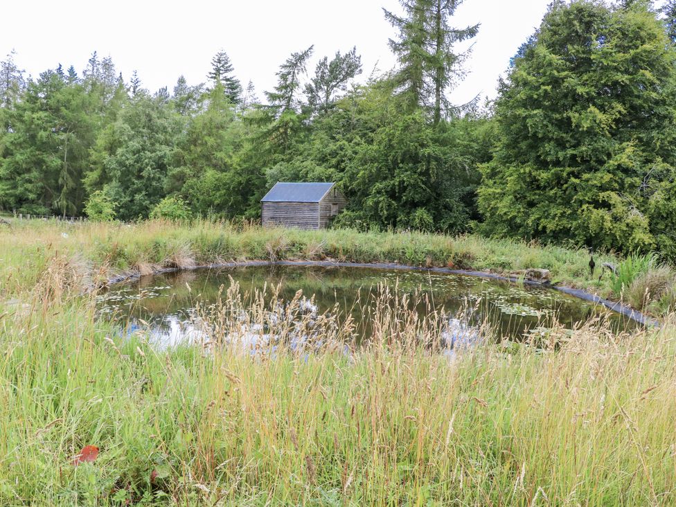 A pond with a shed and grass in a natural setting at The Barn in Copley