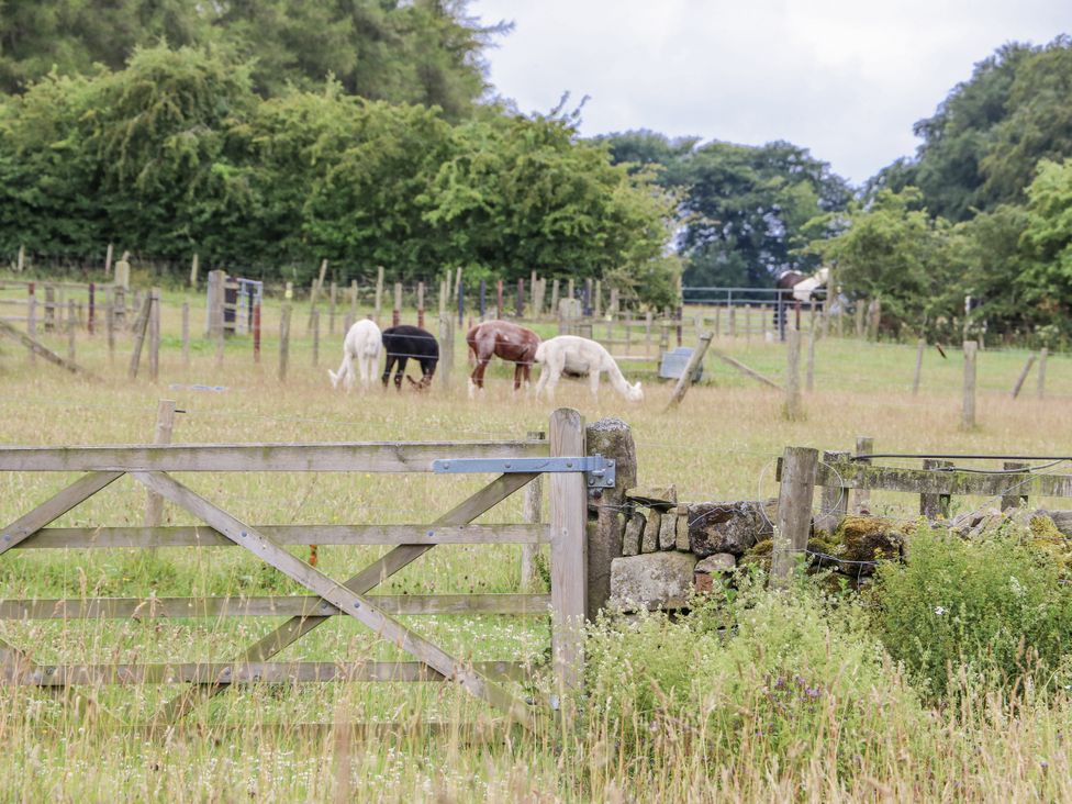 Horses grazing in a field near a wooden gate at The Barn in Copley