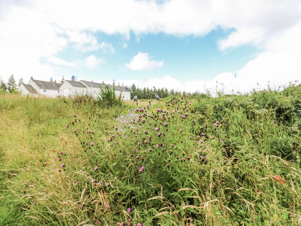A view of a field with wildflowers and a building at Woodland View in Copley near Barnard Castle