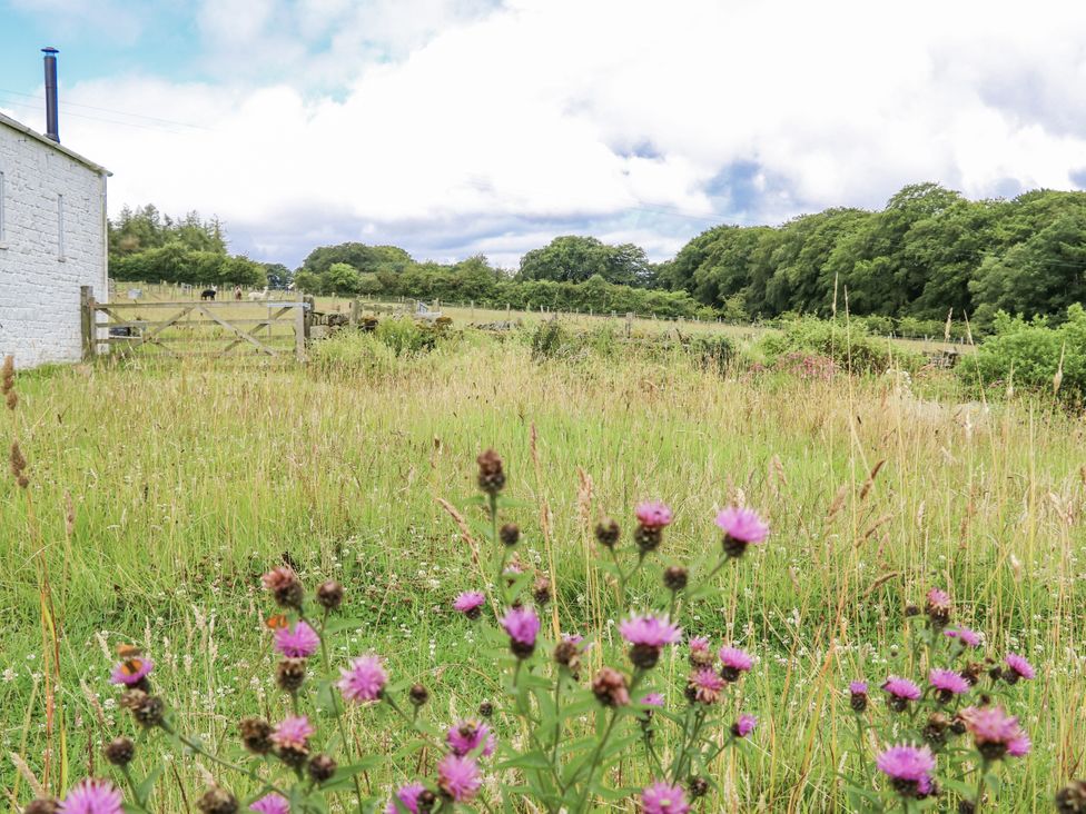 An outdoor area with a field and flowers at Woodland View Copley near Barnard Castle