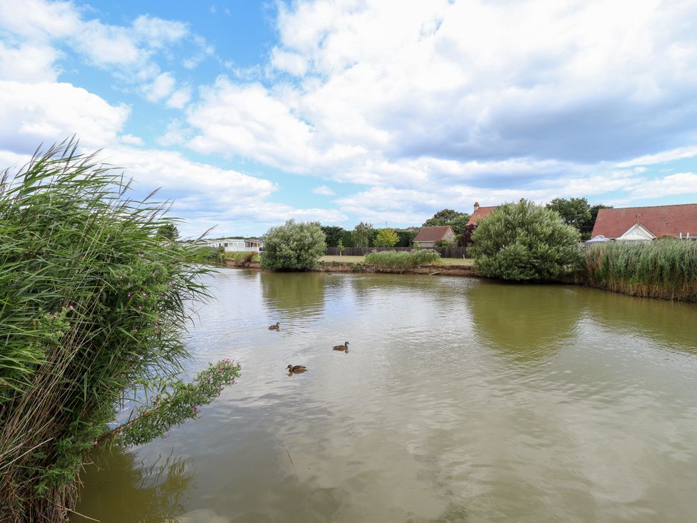 A pond with ducks and surrounding trees at Seaside Retreat in Chapel Point near Chapel St Leonards