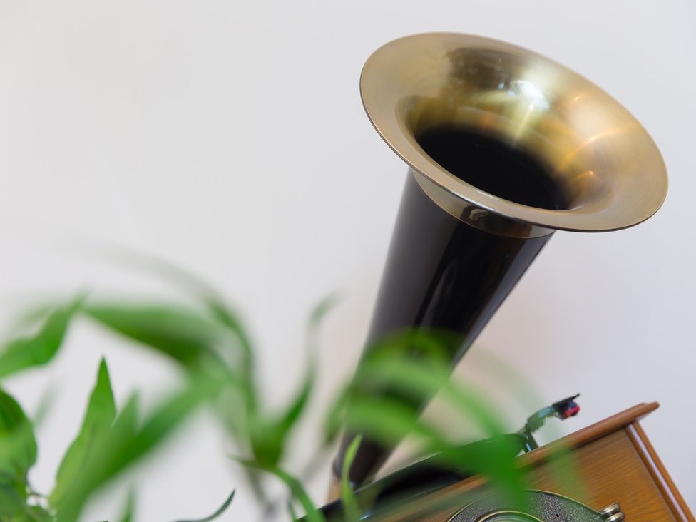 A phonograph with horn and plant at Whitewater Seaview in Newquay