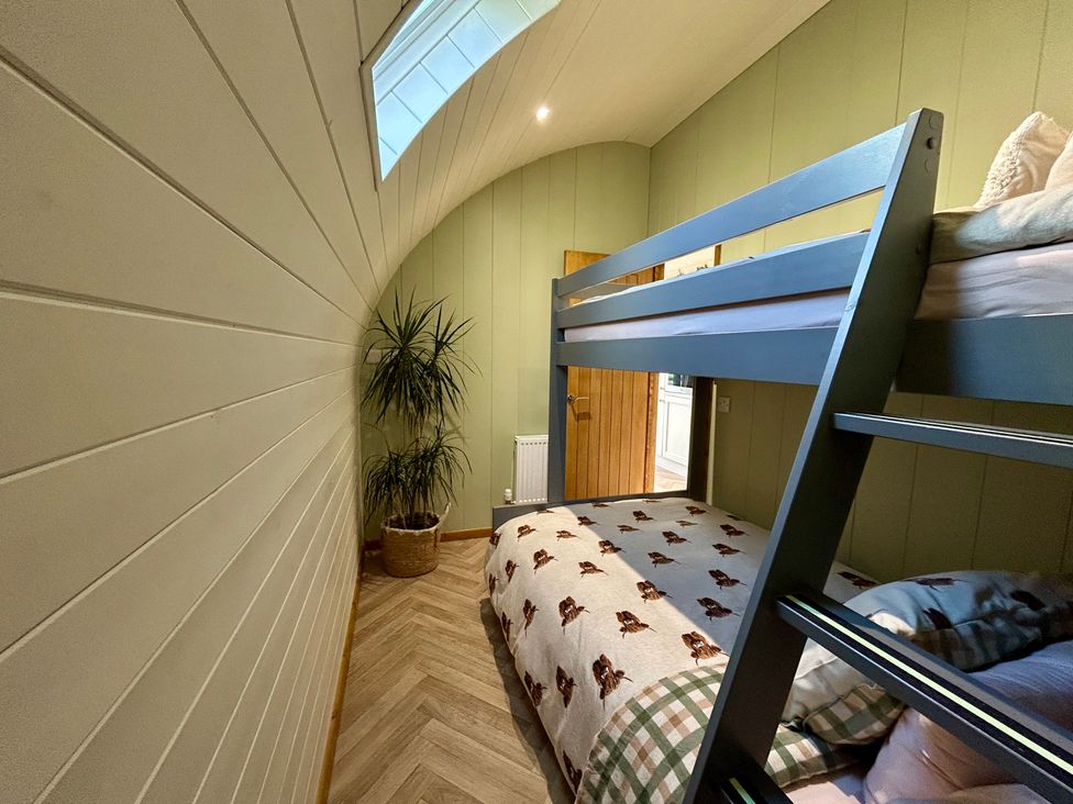 A bedroom with a bunk bed and plant at Willow in Llangurig near Llanidloes