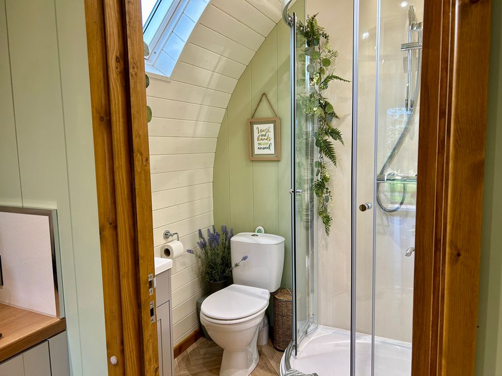 A bathroom with a shower and toilet at Willow in Llangurig near Llanidloes