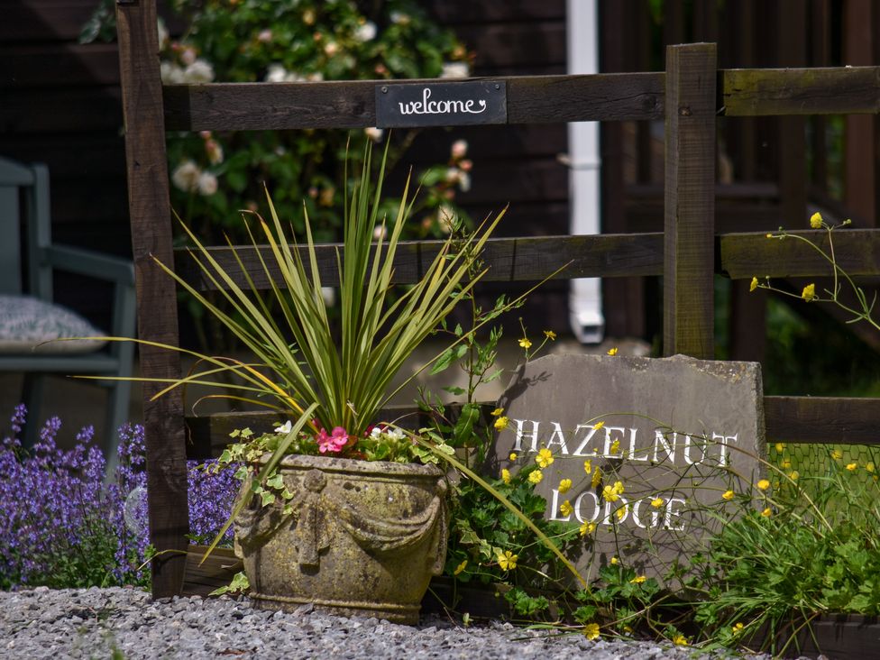 Hazelnut Lodge - Devon - 1150546 - thumbnail photo 2