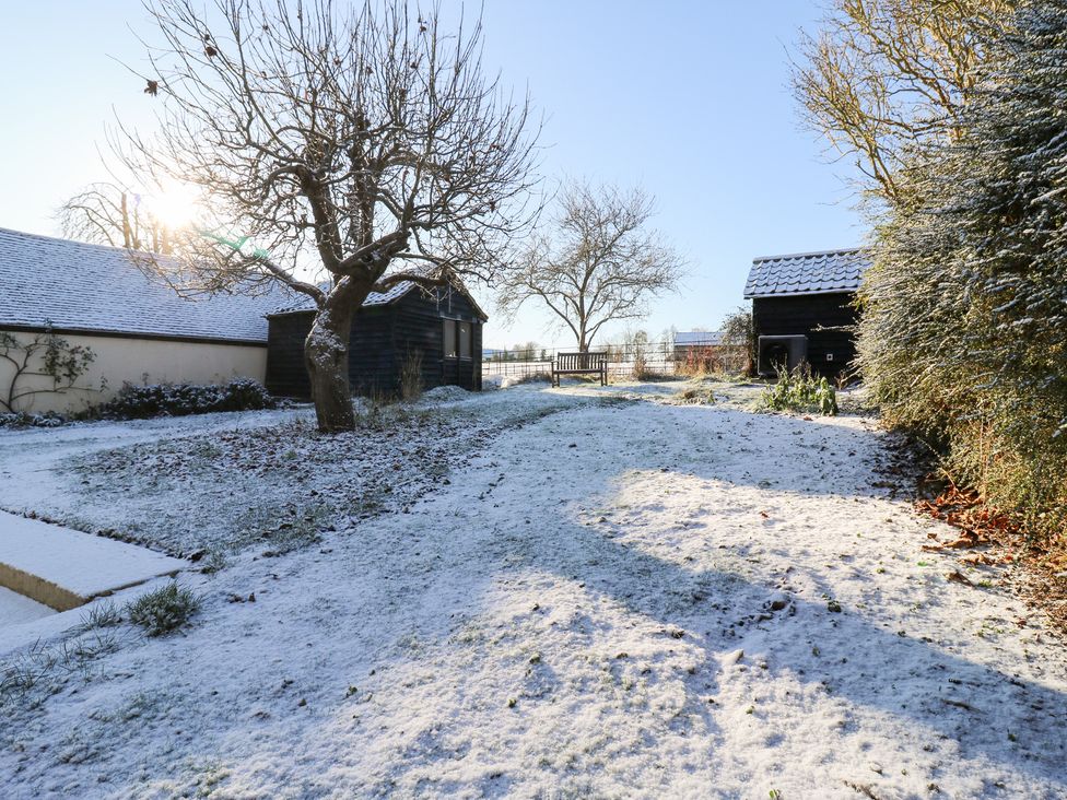 A garden with a tree, shed, and bench at 66 High Street in Cambridge