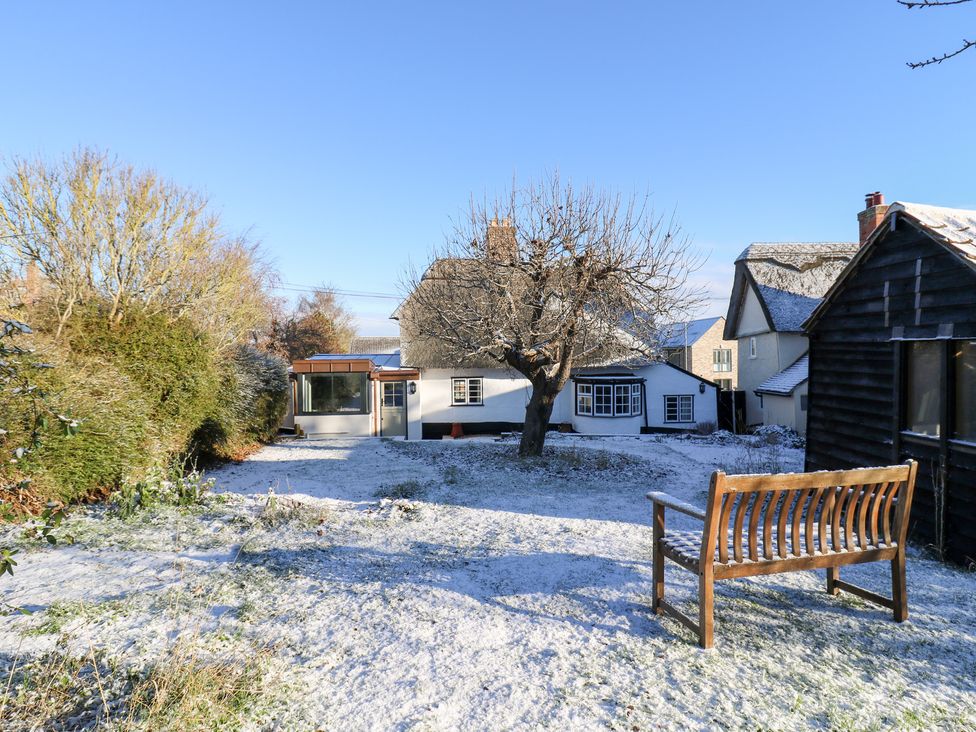 A garden with a tree and bench at 66 High Street in Cambridge