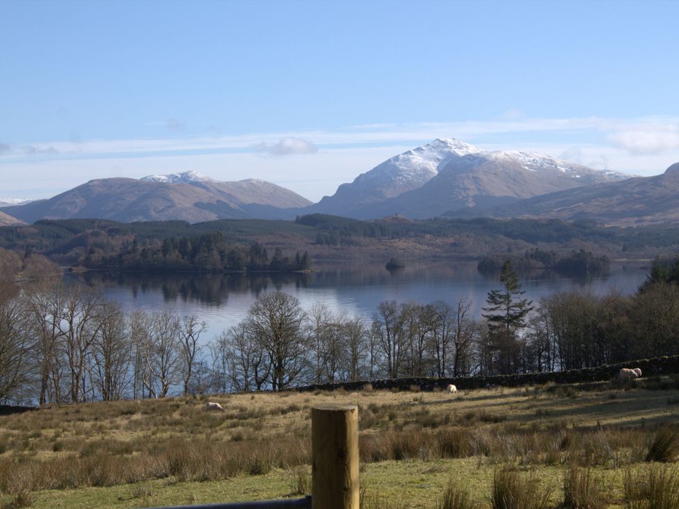A view of mountains and a lake with trees and sheep at Taigh Creag Thulach Taynuilt