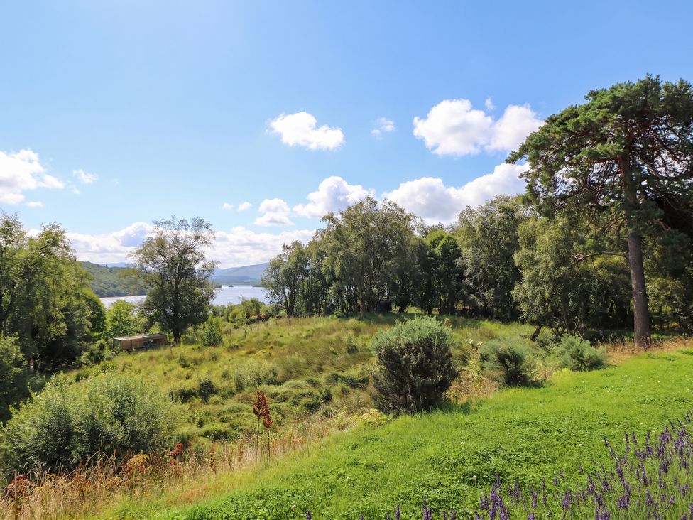 A view of a landscape with trees and a lake at Taigh Creag Thulach in Taynuilt