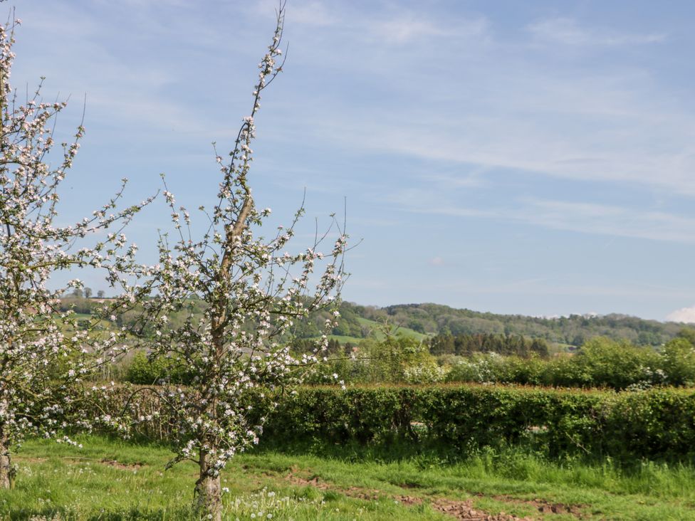 Harvest Moon Cottage - Herefordshire - 1150952 - thumbnail photo 17