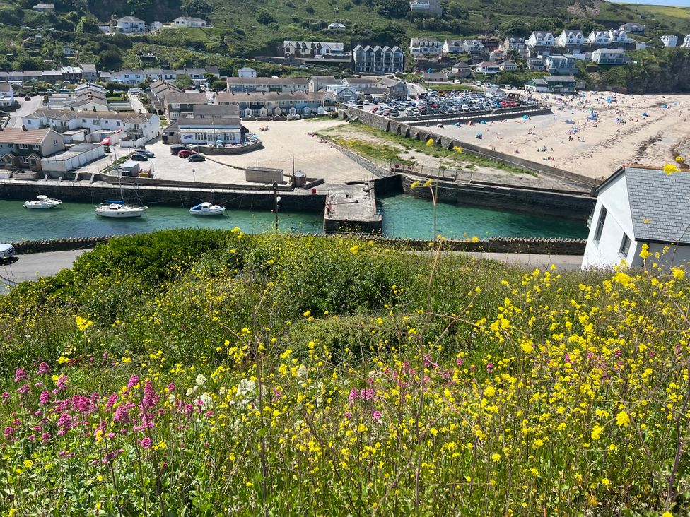 Curnows - Cornwall - 1150959 - thumbnail photo 24