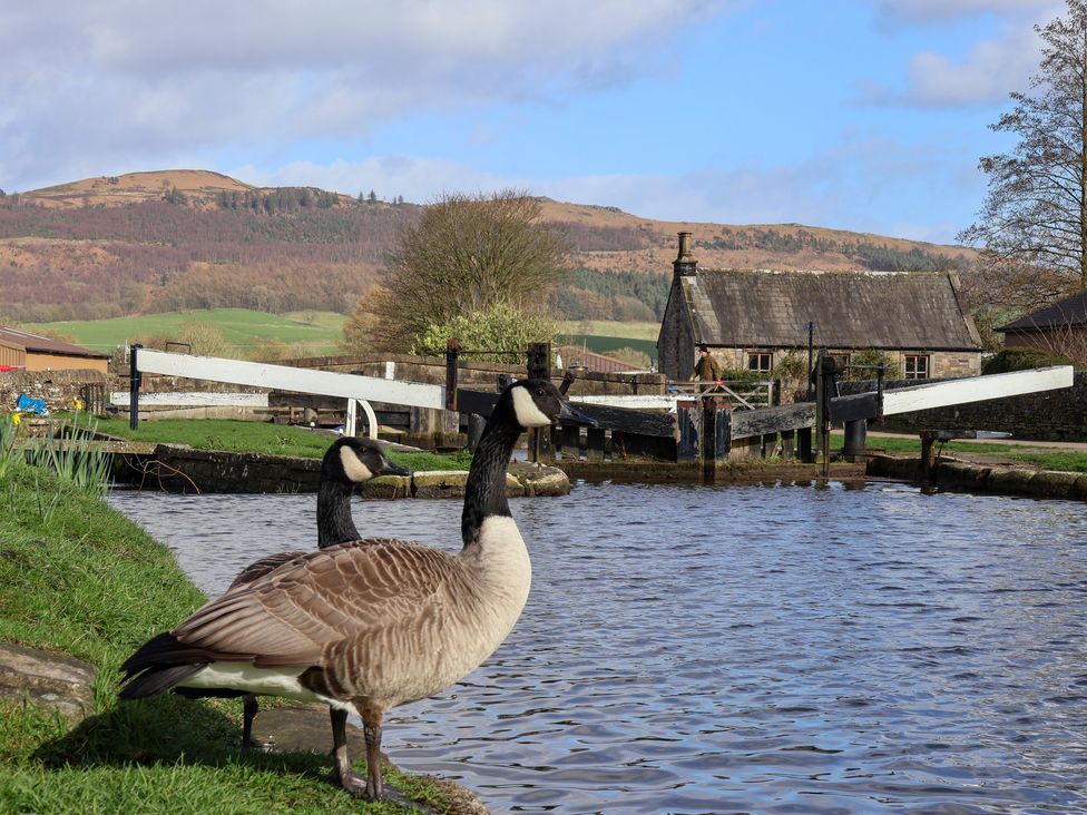 The Swans Nest Lock View - Yorkshire Dales - 1150961 - thumbnail photo 38