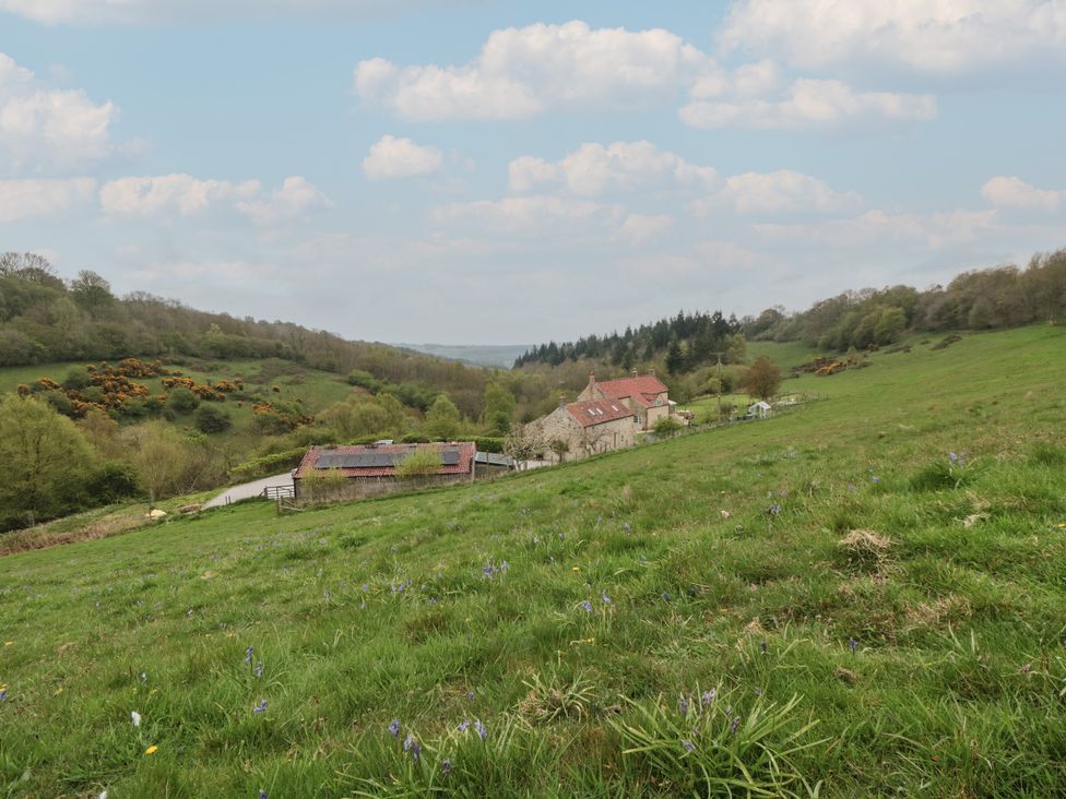 The Burrows - North Yorkshire (incl. Whitby) - 1150998 - thumbnail photo 22