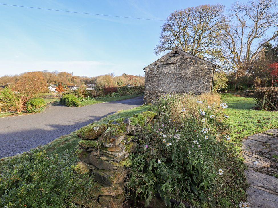 Green Yew - Lake District - 1151089 - thumbnail photo 57