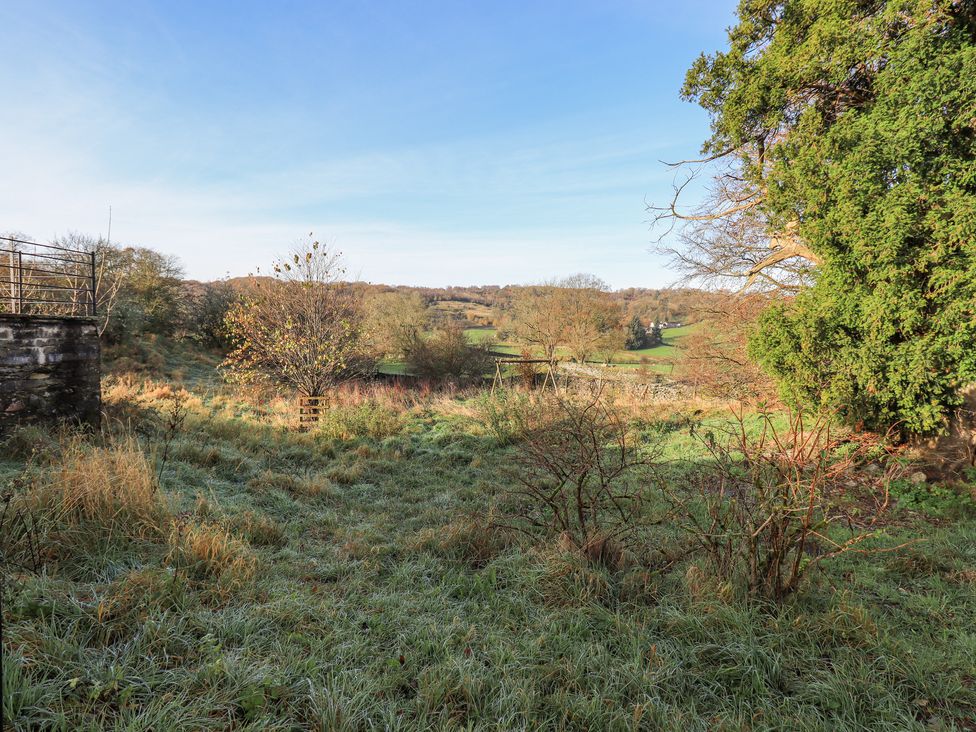 Green Yew - Lake District - 1151089 - thumbnail photo 59