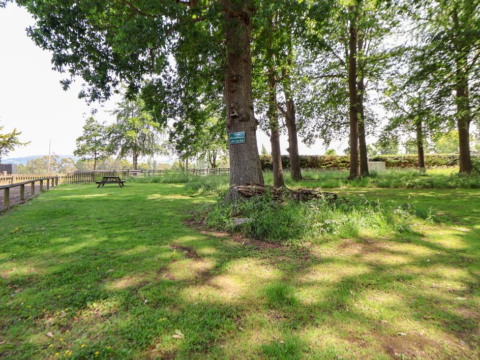 A garden with a tree and picnic table at The Fallows in Llanerch Park near St Asaph