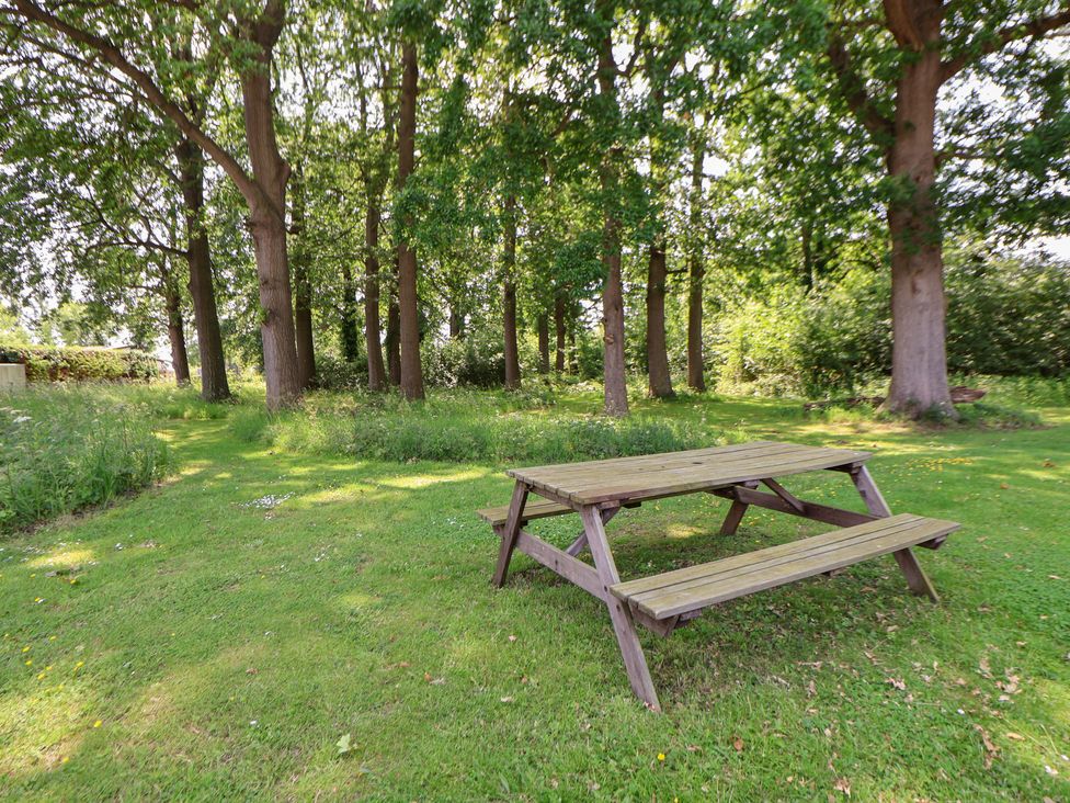 A picnic table in a grassy area surrounded by trees at The Fallows in Llanerch Park near St Asaph