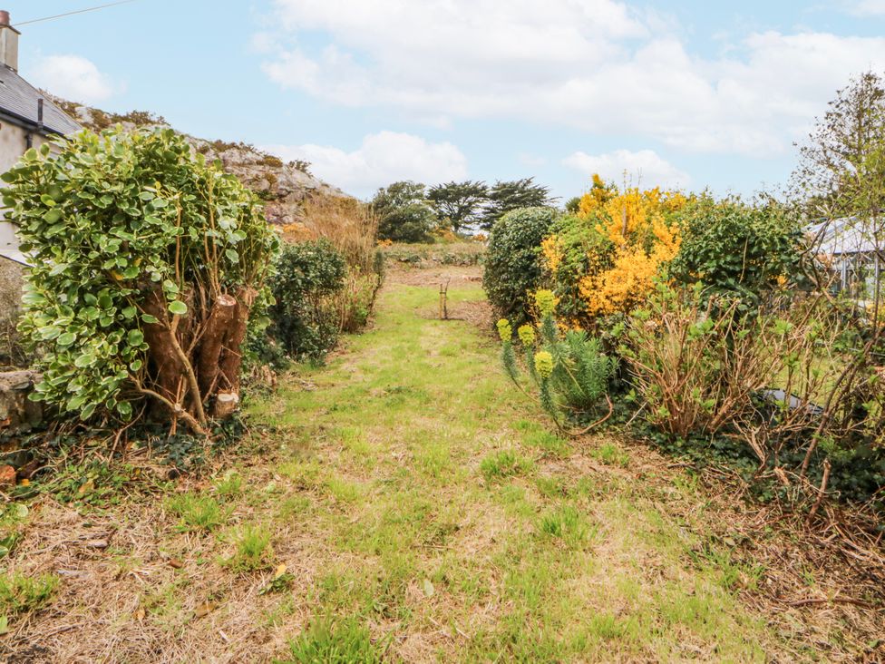 A garden pathway lined with bushes and flowers at East meets West Criccieth