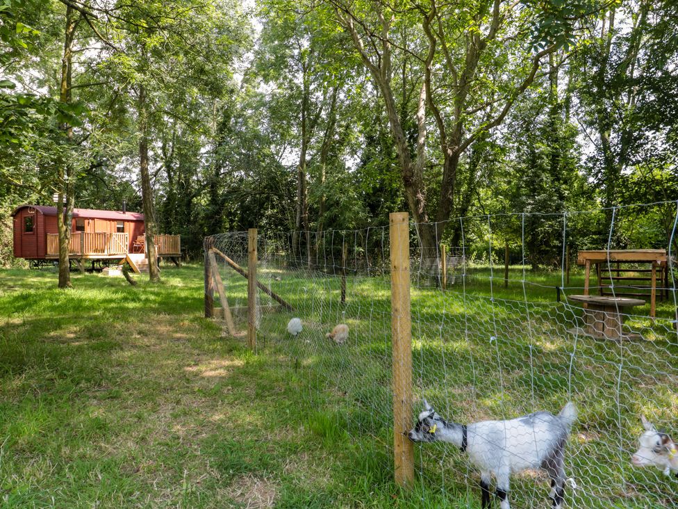 The Foxes Den Shepherds Hut - Cotswolds - 1151420 - thumbnail photo 4