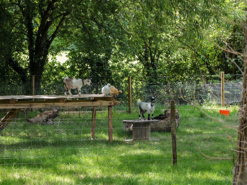 The Foxes Den Shepherds Hut - Cotswolds - 1151420 - thumbnail photo 22